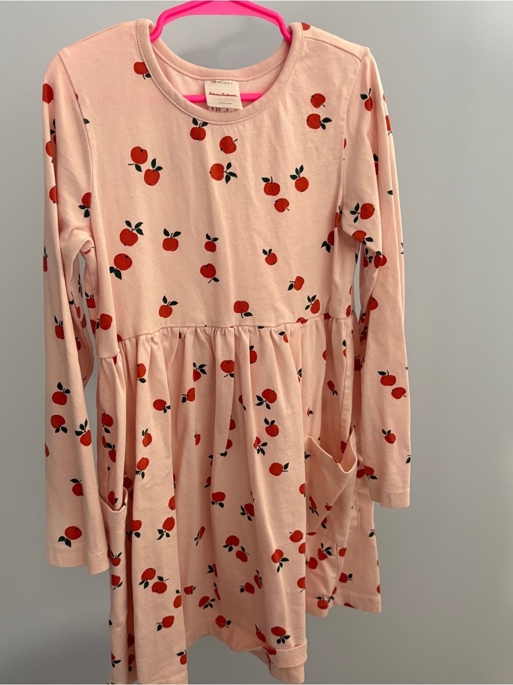 Hanna Andersson Pink Dress with Red Fruit Print